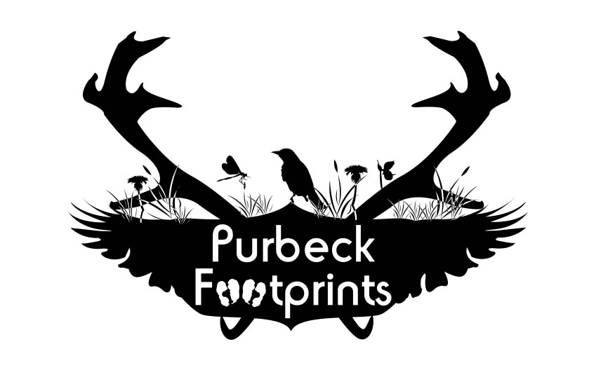 logo designed for Purbeck Footprints based in Dorset