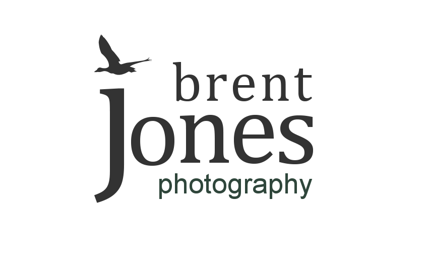 Brent Jones